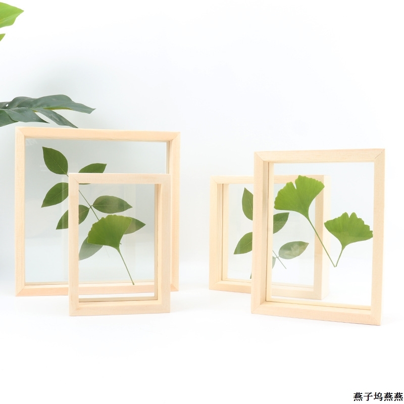 Buy My life creative double-sided glass plant specimen box stereoscopic ...