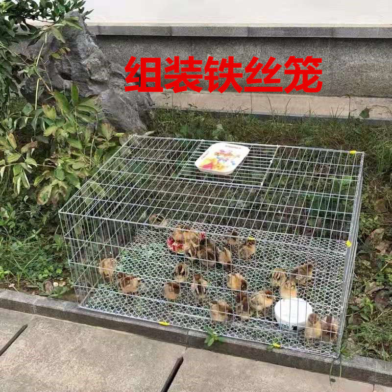 buy pigeon cage