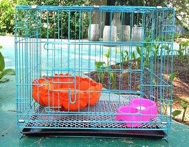 small dog cage price
