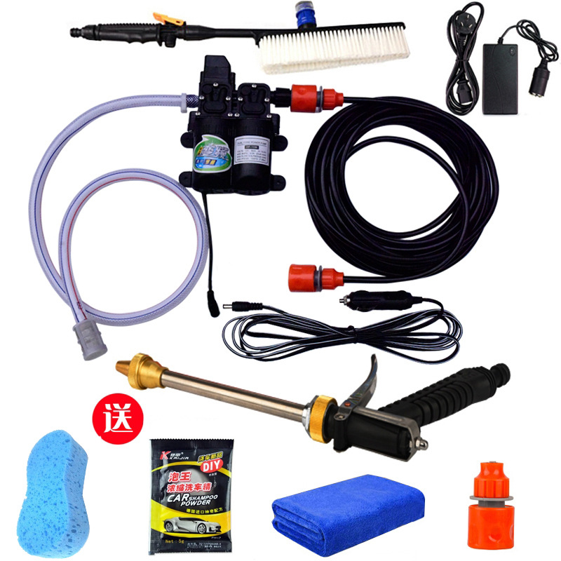 Buy Dual Pump portable car washer 12v Pump Home 220v High pressure car