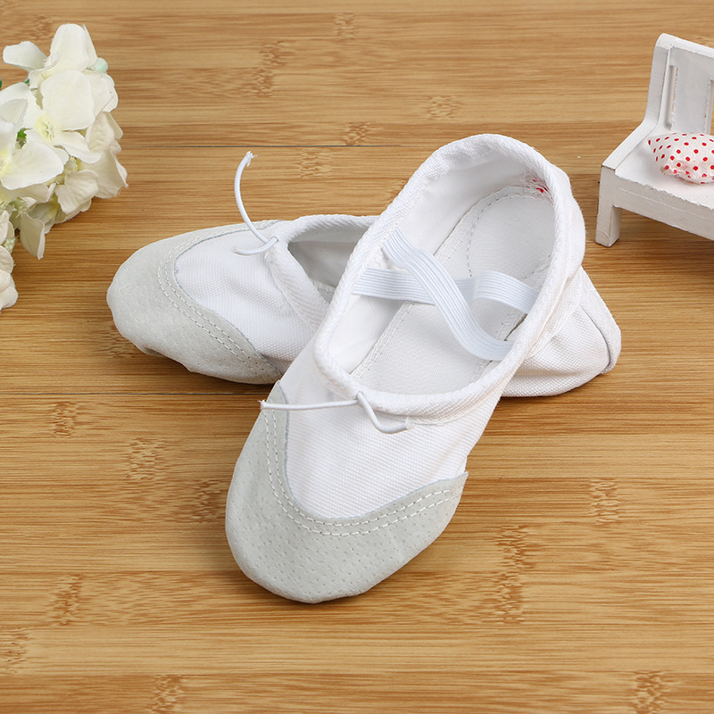 Buy Children Dance Dance shoes soft bottom cat claw shoes adult canvas