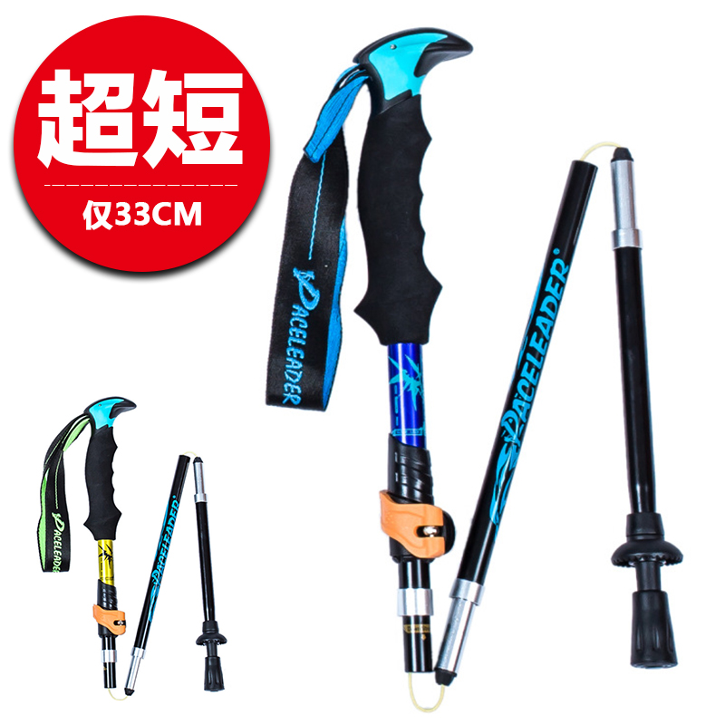 paceleader walking stick
