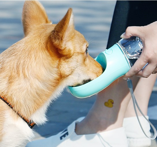 PB+ Portable Drinking Water Bottle Pet Cup