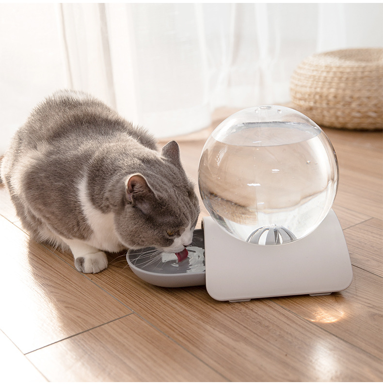 Bubbling cat water outlet dispenser