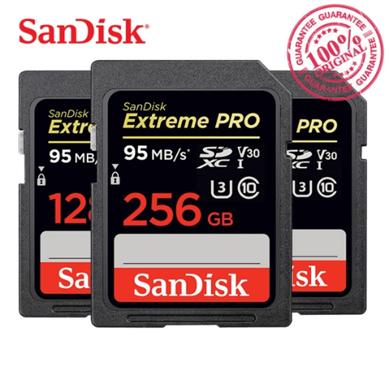 Buy SanDisk Memory Card  Extreme Pro SDHC SDXC SD  Card  95MB 