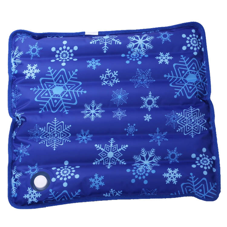 Buy Water mat student summer ice mat ice elf big wave water bag cushion