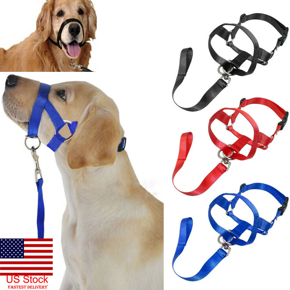 Buy Dog Pet Head Collar Gentle Halter Leash Leader No Pull Straps for