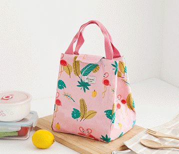 Buy Dreamerhouse lunch Box handbag Korean version fresh insulation ...